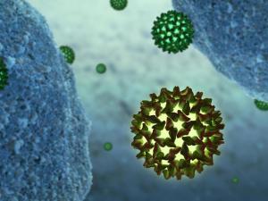 В мире наиболее распространены вирусные гепатиты