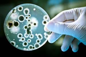 Антибактериальные свечи учничтожают микробов